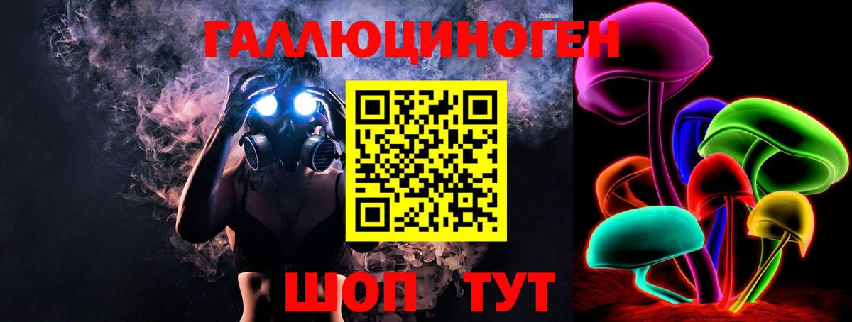 Лесной  Псилоцибиновые грибы Cubensis  Вход с VPN 